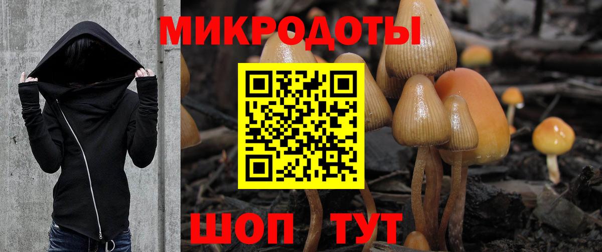 Псилоцибиновые грибы Psilocybe  Галлюциногенные грибы MAGIC MUSHROOMS  Вход с VPN  Краснодар 